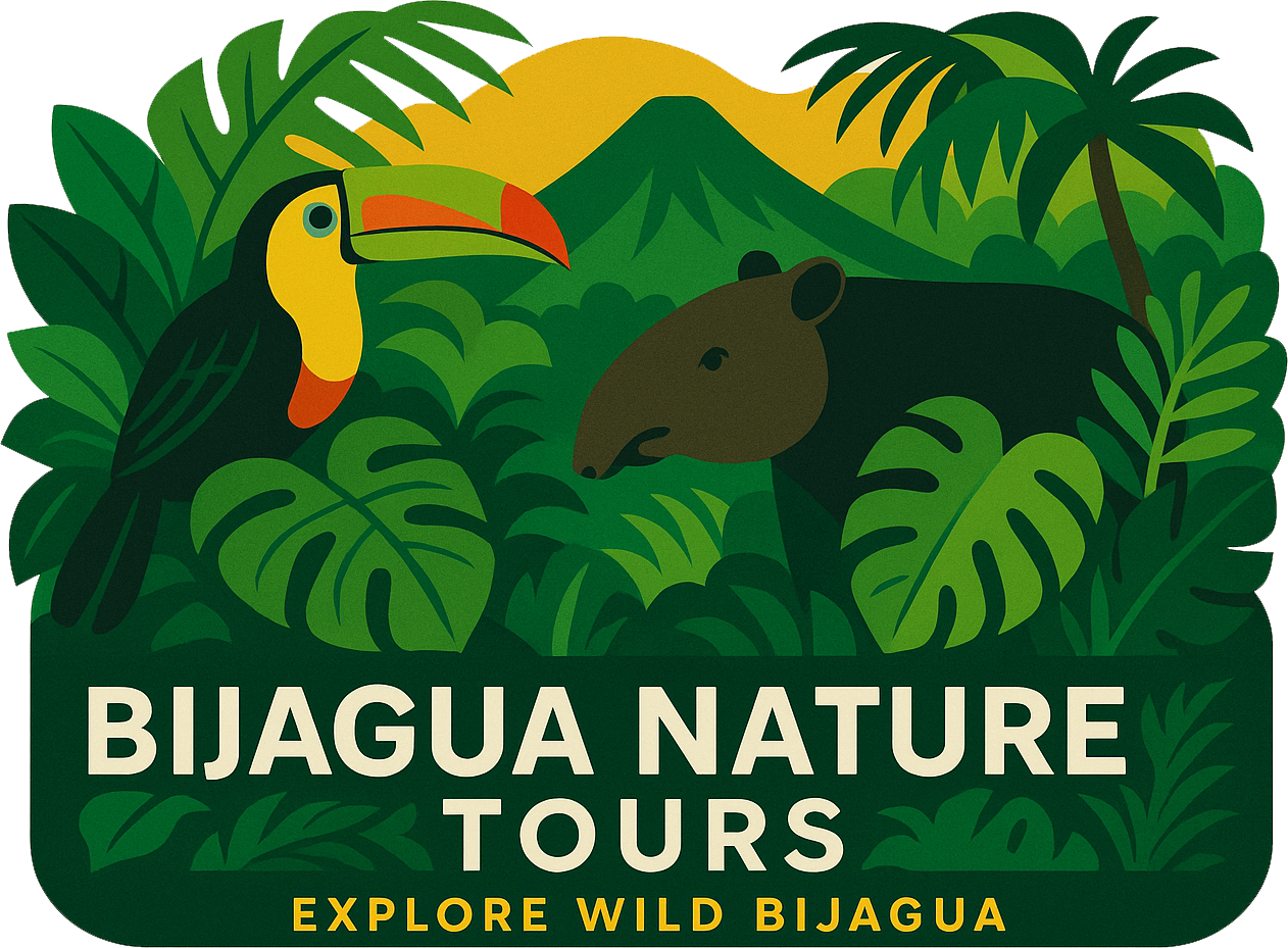 Bijagua Nature Tours